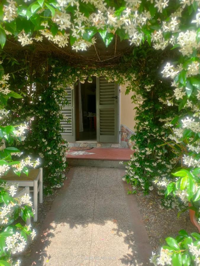 La Casa Di Fiorella Cerreto Guidi Luaran gambar